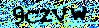Read and enter the security code