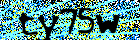 Read and enter the security code
