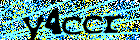 Read and enter the security code