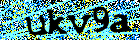 Read and enter the security code