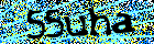 Read and enter the security code